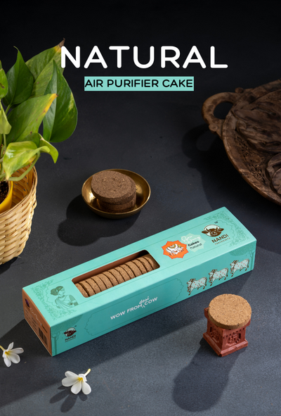 Air Purifier Cake