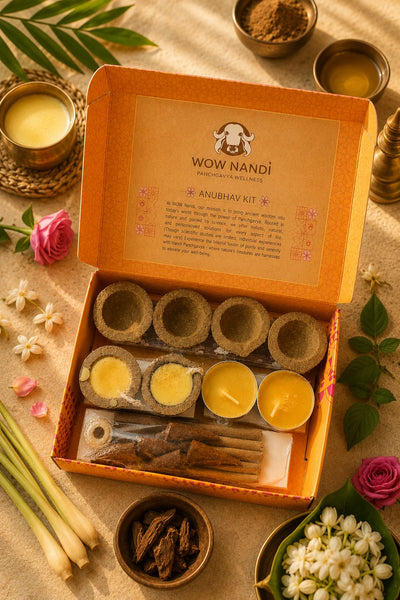 Nandi Anubhav Kit