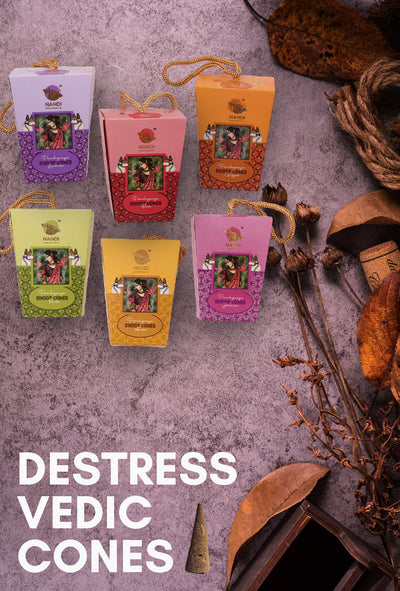 Stree Free Vedic Cones
