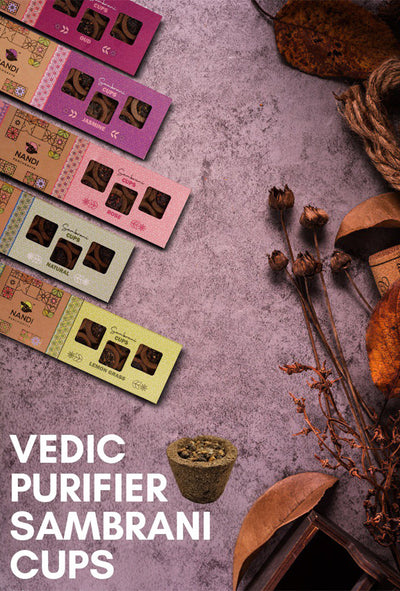 Vedic Purifier Sambrani Cups