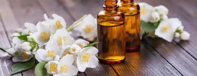 Jasmine Oil Benefits Revealed: 10 Surprising Health and Beauty Advantages