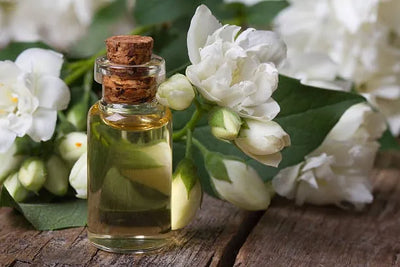Jasmine Oil Skin Application Guide