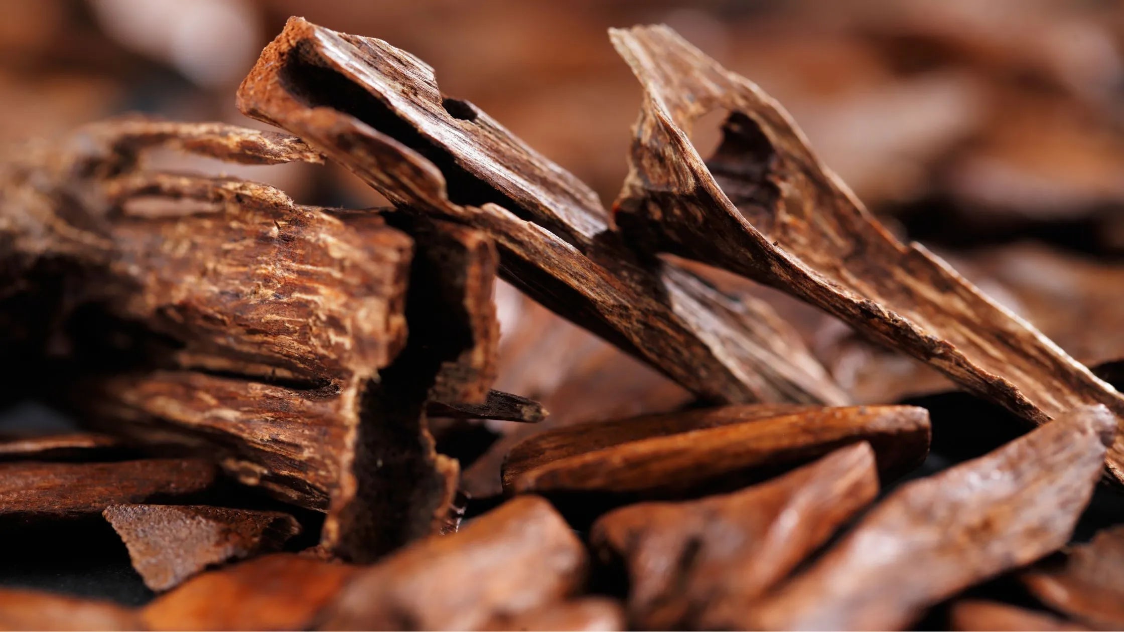 Mystical allure of Oud fragrance