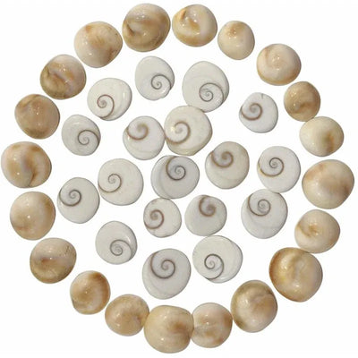 Activate Gomati Chakra Ring for Positive Energy