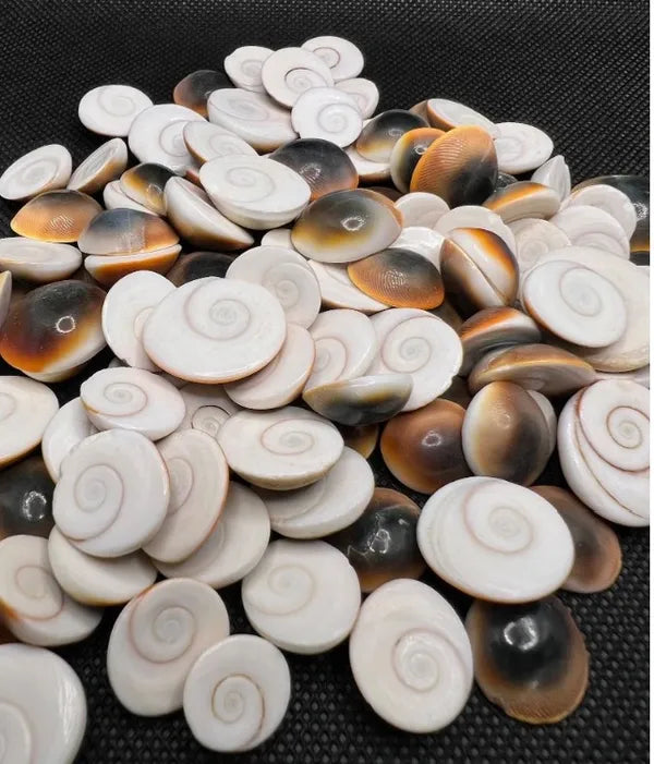 Gomati Chakra: Mystical Powers and Spiritual Significance
