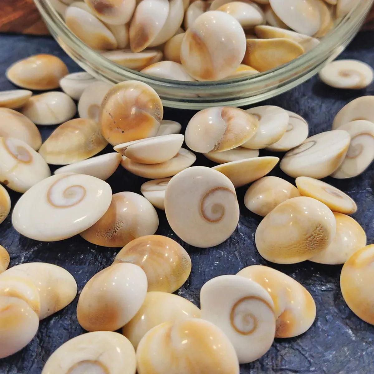 Gomati Chakra: Harnessing Spiritual Energy