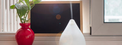 7 Best Air Purifier Methods: Cake vs Spray 