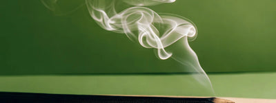 7 Best Natural Fragrance Sticks for Serene Homes 