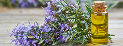 7 Essential Oils to Elevate Your Yoga Practice 