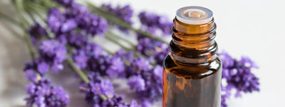 7 Home Fragrances to Elevate Your Mindfulness 