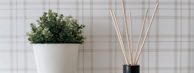 7 Incredible Benefits of Lemongrass Tulsi Aroma Sticks 