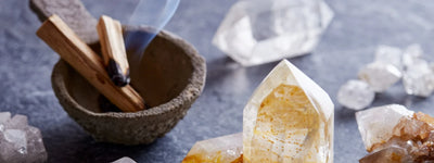 7 Powerful Panchgavya Benefits for Holistic Health 