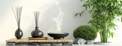 Cow Based Wellness: Your Complete Guide to Healing 
