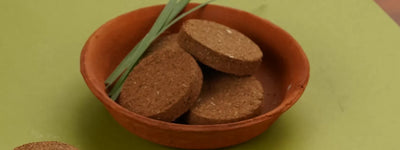 DIY Panchgavya Air Purifier Cake: Step Guide 
