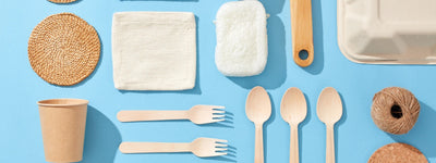 Everything You Need to Know About Eco Friendly Home Kits 