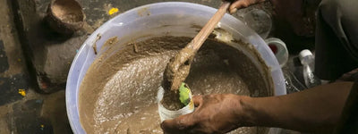 panchagavya.webp 