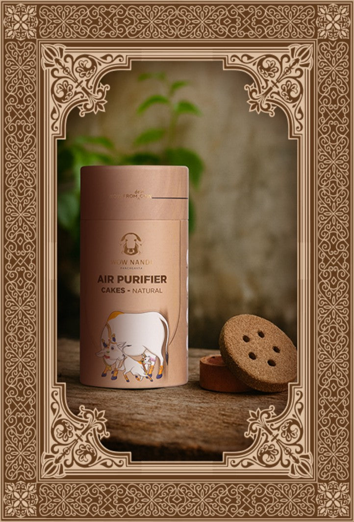 Air Purifier Cakes Canisters