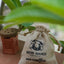 Purifier Potli ( Pack Of 3 )