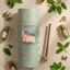 Aura Therapy Sticks Canisters