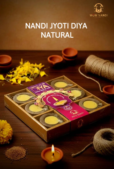 Diwali Diya Natural