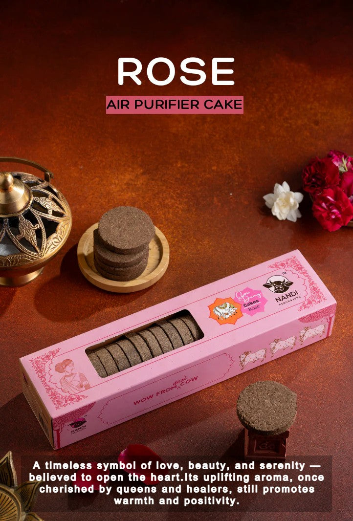 Air Purifier Cake